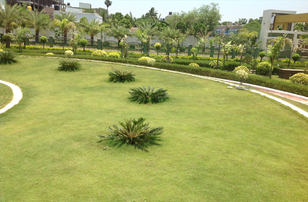 chennai landscape architects, landscape in chennai, landscaping in chennai, landscape designers in chennai, garden maintenance in chennai,